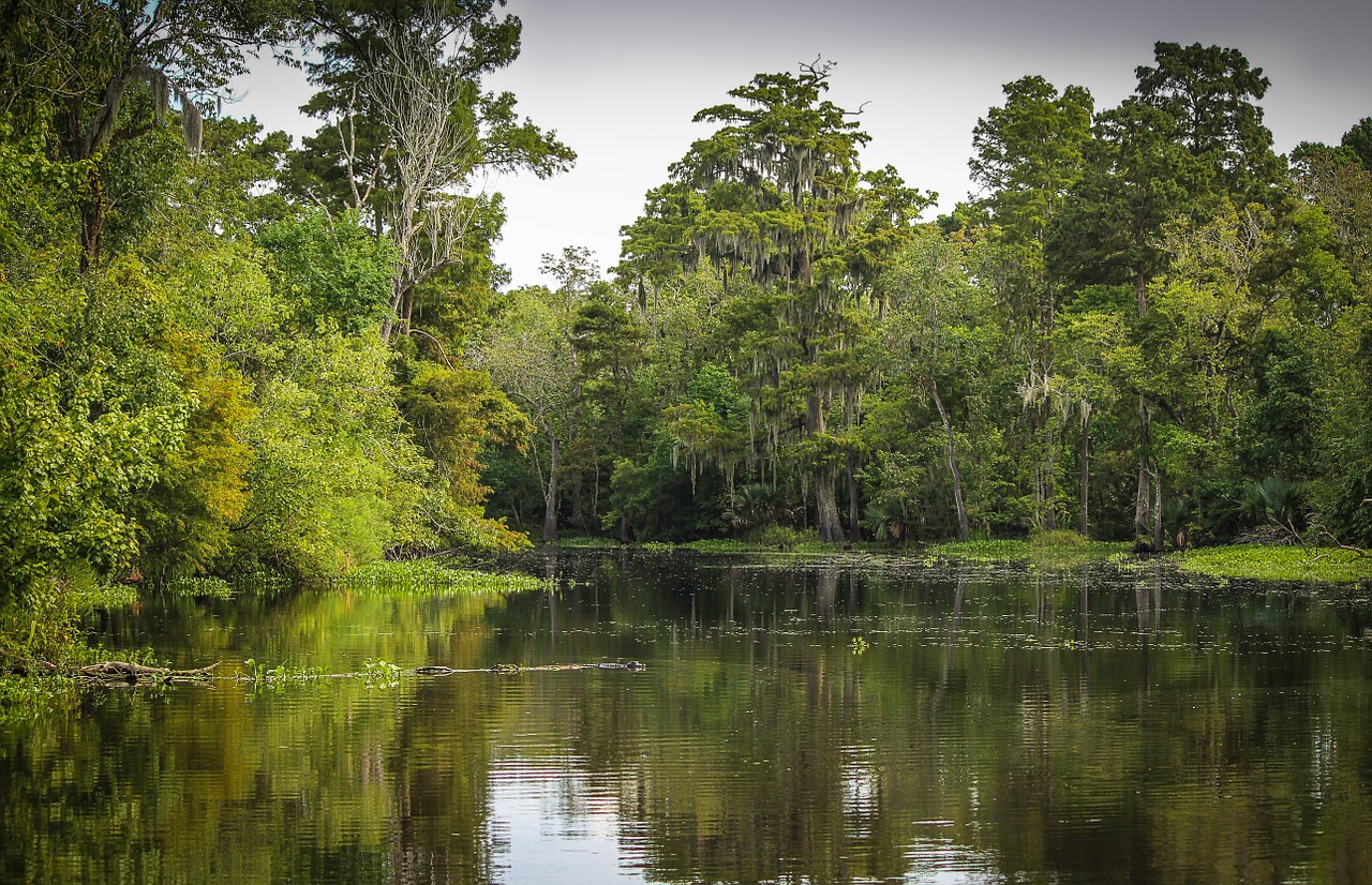 Lake Charles, Louisiana Primavera P6 training courses.