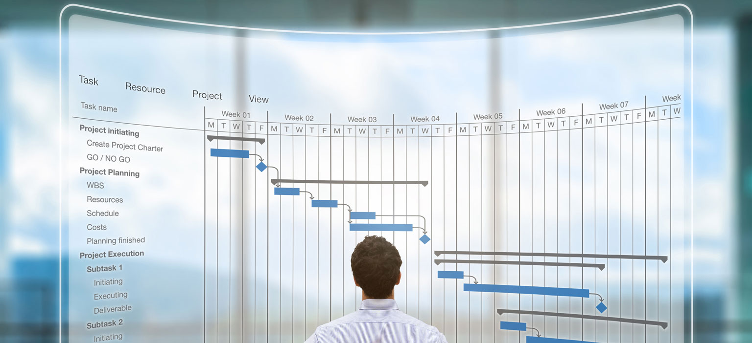 project manager looking at gantt chart